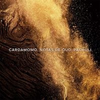 Absolus Allegoria Épices Exquises  125ml-222115 Absolus Allegoria Épices Exquises  125ml-222115 2